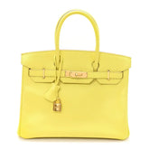 Birkin25 Sellier Jaune Milton Veau Epsom Silver Handbag