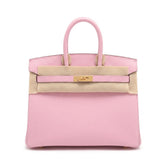 Birkin 25 Sellier Mauve Sylvestre Epsom Gold Hardware